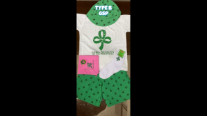 Type B Complete Set of Scouting Uniform  for Girl | Twinkler Star Junior Senior Cadet | Theo Clothing