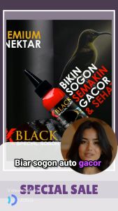 RX BLACK SPECIAL BURUNG SOGON -  NEKTAR KHUSUS SOGON SOGOK OTONG HARIAN DAN LOMBA CEPAT GACOR
