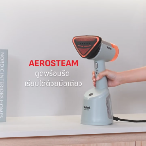 Tefal AEROSTEAM เครื่องรีดไอน้ำ (1400 วัตต์ สี Eucalyptus) รุ่น DT9814