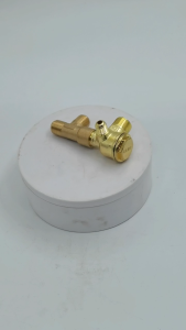 Katup Kembali Kompresor Tanpa Minyak Airman Arctic Mudah Pasang & Tahan Lama