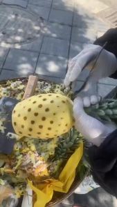 Stainless Steel Pineapple Corer & Strawberry Huller - Multi-Purpose Fruit Tool
