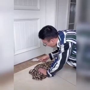 Busa Penutup Celah Bawah Pintu Penghalang Debu Anti Kecoa Peredam Suara