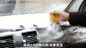 Xịt bọt vệ sinh nội thất ô tô nhanh sạch an toàn Botny B-1109 dung tích 650ml