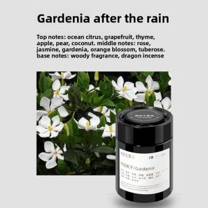Onefire | Dizziness Prevention Tea Scent Car Solid Fragrance