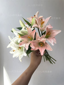 Bông Hoa Lô Hội Giả Mềm Mại Ẩm Ướt Hoa Lô Hội Giả Trang Trí Phòng Khách Hoa Lụa Phong Cách Hiện Đại Đơn Giản