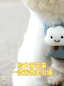 AP AIMAYAPET Breathable Harness Cat Dog Harness Outdoor Cat Leash Dog Leash Adjustable Tali Kucing Berjalan 宠物牵引绳