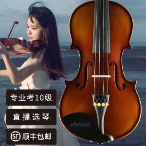 Haocheng Import Solid Wood Violin Beginner Handmade Professional Grade Kids Adult Orchestra Grade Examination Single Playing Musical Instrument