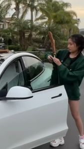 [HCM] Cặp Sừng Tuần Lộc Và Mũi Đỏ Trang Trí Xe Hơi Sừng Hươu Trang Trí Xe Hơi Giáng Sinh