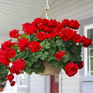 1PCS Hot Selling Trend Simulated Fake Fowers Home Decor Living Room Wedding Party Event Geranium Silk