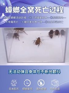 🔥1 day Kill the whole family 🔥Cockroach Killing Gel Bait cockroach killer pest control repellant New Japanese Formula Safe Non-toxic Harmless To Pets And People Insecticides Trap Pest Effectively removes cockroaches Cockroach Medicine