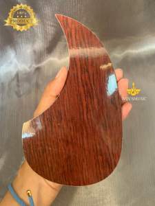 Pickguard Cort Akustik