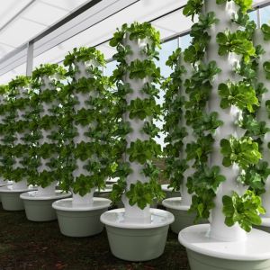 ZHUOLESHI | Soilless Aeroponic Intelligent Vegetable Growing Machine
