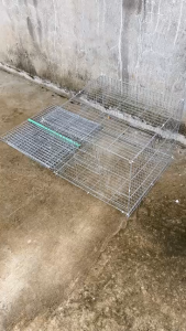 Lồng 50x50x45. Dùng úm gà con nuôi chim bồ câu gà tre thỏ ( Lồng Tập Lực )