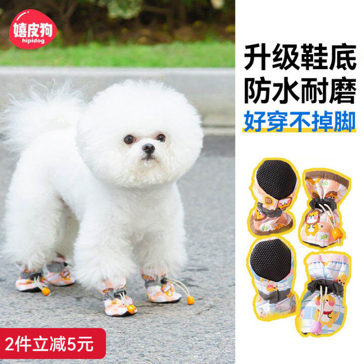 Dog sale shoes lazada