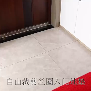 🔥Ship 24H🔥PVC Coil Entrance Door Mat 11MM Thick Anti Slip Dust Trapper Easy Clean Cuttable Floor Mat Custom Size 地毯 定制门垫