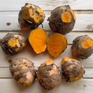 Temulawak termurah berkulitas 1kg