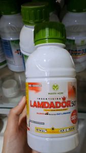 LAMDADOR 50 EC INSEKTISIDA PENGENDALI HAMA
