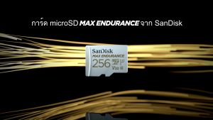 Sandisk Max Endurance microSDXC 64GB 30000 hours (SDSQQVR-064G-GN6IA) ( เมมการ์ด เมมกล้อง )