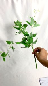 Artificial Daun Clematis Willow Dekorasi Cantik Kantor – AL39