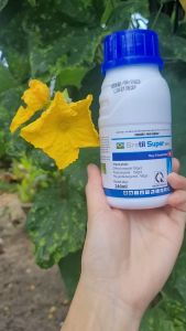 [THIEN THINH SHOP] BRETIL SUPER 300EC chai 240ml trừ bệnh lem lép hạt lúa đốm lá rỉ sắt thán thư nấm hồng