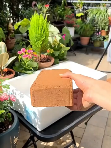 Low-Salt Coco Brick High-Temp Sterilized Soft Airy Water-Retentive Ideal for Flowers Veggies & Houseplants 1 Brick Expands Up to 9L SG Fast Shipping/Local Seller