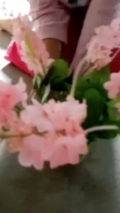 EFPT55 Pot Tanaman Hias Bunga Hias Plastik Ornamen Pot Bonsai Artificial Flower Decoration