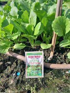 Phân Bón Hữu Cơ Humic Đạm Cá Tăng Cường Năng Lượng Cho Rau Màu 50ml