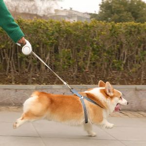 ROJECO Adjustable Pet Walking Lead: A Luminous Solution for Your Puppy