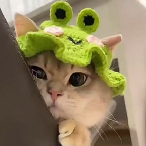 Hypet หมวกสัตว์เลี้ยง หมวกเบสบอล กันแดด การออกแบบดอกไม้ เครื่องแต่งกายสัตว์เลี้ยง หมวกแมว กระต่าย หมา การ์ตูน น่ารัก