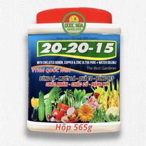 PHÂN BÓN LÁ NPK 20-20-15 HỖN HỢP MƯỚT LÁ QUẢ TO BÓNG ĐẸP HỘP 565 gram