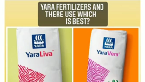 Yara Mila Winner (15-9-20 +2MgO +4S +TE) 1kg