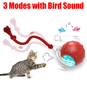 Interactive Cat Toy Ball with Bird Chirping Super Drive Cat Rolling Balls Motion Activated Sensor Pet Kittens Teaser Game Toys
