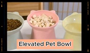 Buy 1 Get 1 Home Feeder Elevated Pet Bowl for Dogs and Cats: Stylish and Functional Dining Solution