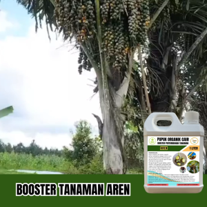 POC Pupuk Booster Pelebat Buah Aren Nutrisi Pelengkap Pertumbuhan Tanaman Mengurangi Rontok