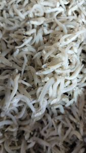 Ikan Teri Toge Nasi / Teri Medan 250 Gram