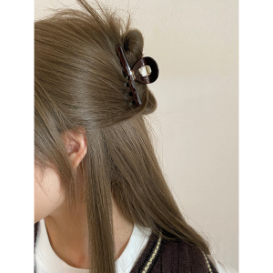 Busan South Korea France Gold Standard Loose Clip Small Jaw Clip Minimalist Retro Ins Medium Acetate Shark Clip Barrettes