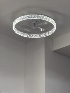 20 Inchs Modern Ceiling Fan LED Lights Remote Control 6 Speed DC Motor Adjustable Brightness LED Ceiling Fan Lamp for Living Room Bedroom Dinning Room
