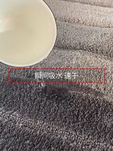 Thick Bathroom Mat Anti-Slip Alas Kaki Lapik Kaki Serap Air Floor Mat Carpet Water Absorbent Kitchen Door Dapur Bilik Air 吸水防滑地垫抹脚布