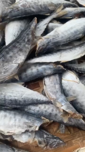 500G Khô cá thu ảo nguyên con vị mặn vừa ăn  đặc sản Nha Trang