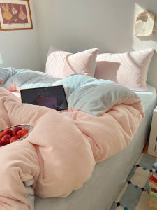 Winter Warm Milk Velvet Bedding Set 1.5m Duvet Cover with Fleece Ins Influencer Style Double Color Block Four Piece Bedding Set