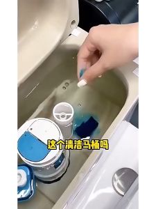 Pembersih Closet Pewangi Penghilang Noda Disinfectant Toilet Cleaner Tandas Automatic Flush