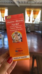 All Stages Free 3cc Syringe Papi MVP 120ml Syrup Multivitamins + Minerals Cat Dog Pet Essentials
