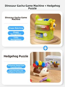 Borledor | Educational Dinosaur Shape Matching Toy