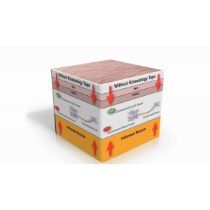 RockTape Kinesiology Tape 5m x 5cm Beige