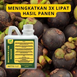 Pupuk Semprot Pelebat Buah MANGGIS: Pupuk Penyubur Buah MANGGIS ZPT