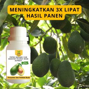Pupuk Alpukat Cepat Berbuah / Pupuk Pelebat Buah Alpukat / Pupuk Booster Alpukat Cair