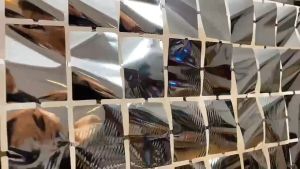 Fringe Backdrop Curtain Metallic Tinsel Curtain Backdrop for Birthday Wedding Graduation Bachelorette Party Decorations