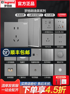 Legrand Switch Socket Panel Deep Sand Silver One Open Five Hole Air Conditioner Computer Plug Dark Mounted Electronic Components