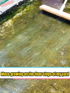 【COD】 stainless steel floor brush for Garage Patio Garden Balcony Moss Cleaning Tools Bristle brush