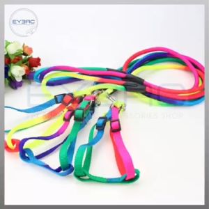 Rainbow Colored Nylon Round Dog Leash and Harness